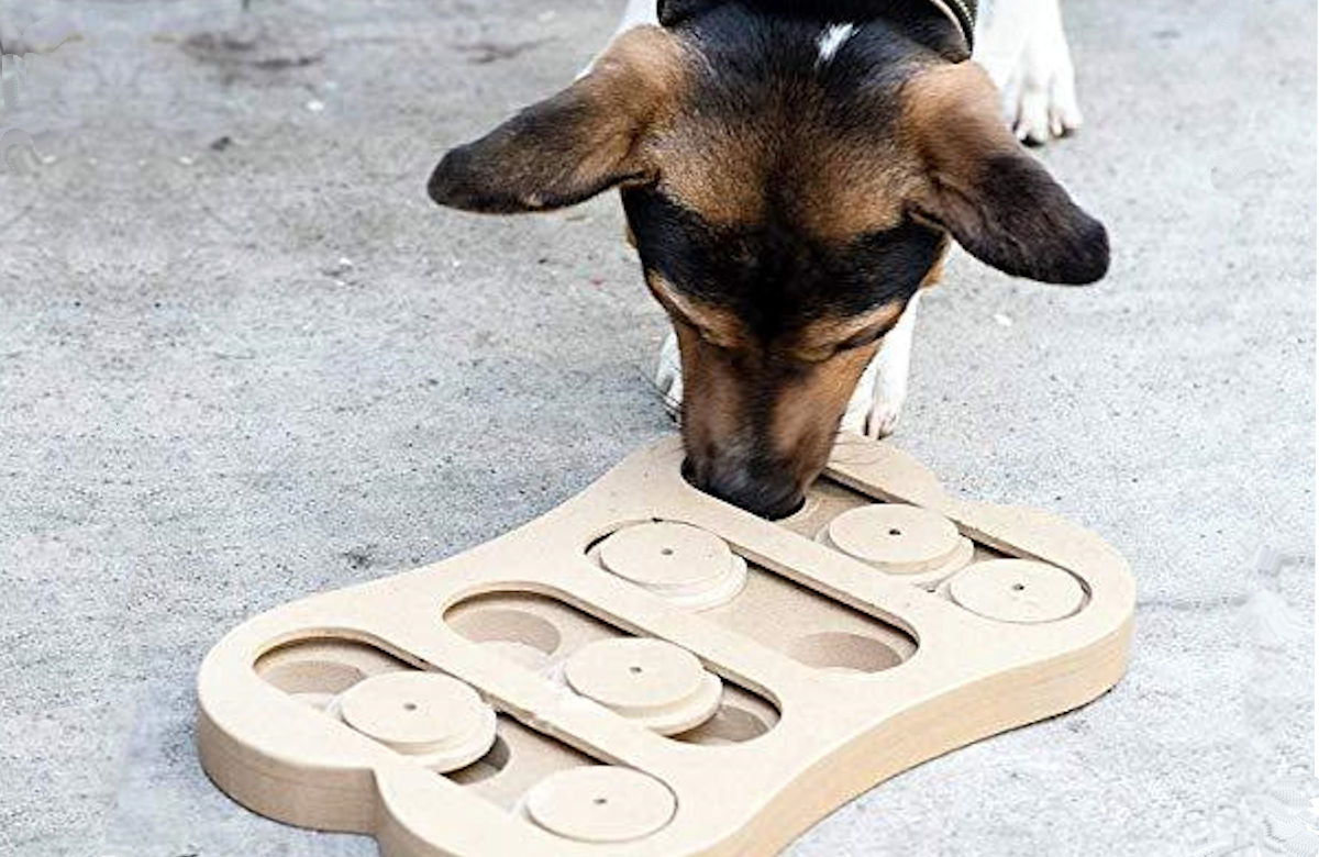 Eggplant Nosework Puzzle  Interactive Dog Toy – Woofin