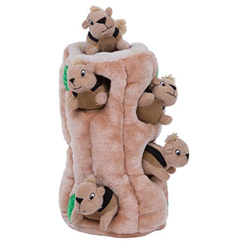 The Dodo Squirrel & Acorn Durable Stuffing-Less Small Dog Toy Set