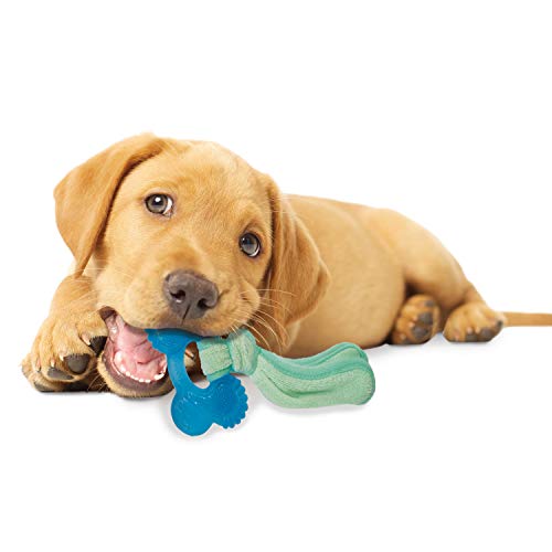 Nylabone No-Squeaker Fill & Chill Freezer Puppy Teething Chew Bone Toy