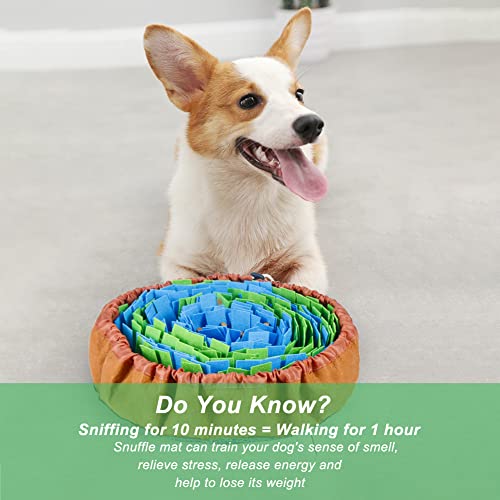 What is a snuffle mat? Are they a good enrichment toy for dogs? | Leave It What is a snuffle mat? Are they a good enrichment toy for dogs? | Leave It