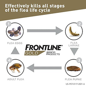 Frontline Gold Flea & Tick Control for Cats 3 lbs+ (3 Month)