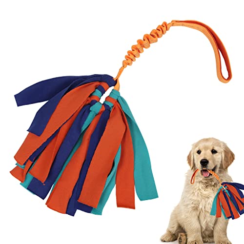 Interactive No Squeaker Tuggable Dog Rope Toy