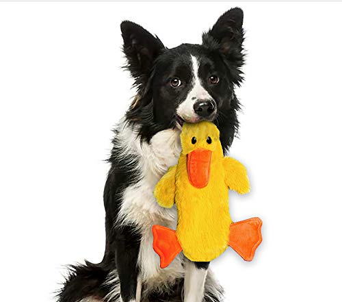 FGA MARKETPLACE Duck Flat Plush NO Stuffing NO Squeak Dog Toy 21 –  DogToyStuffz