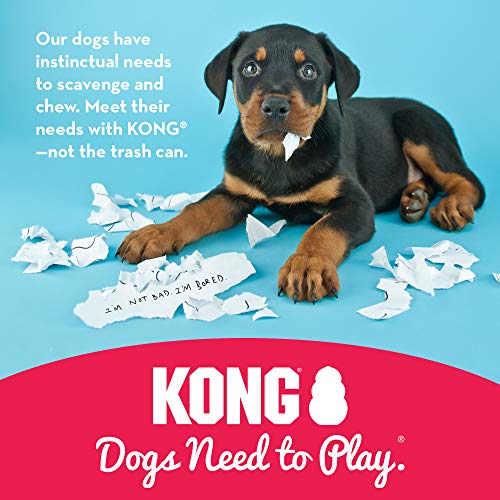 KONG Gentle Natural Rubber Dog Toy - Chew, Chase & Fetch - For Medium Dogs