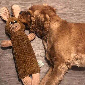 Snuggle Puppy Tender-Tuffs No Squeaker Rabbit & Water Bottle Dog Toy