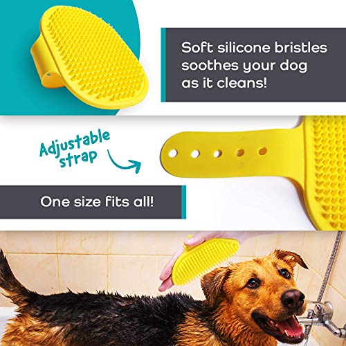 Matier Dog Peanut Butter Lick Pads w Suction Cups for Pet Bathing, Grooming & Training | 2 pcs