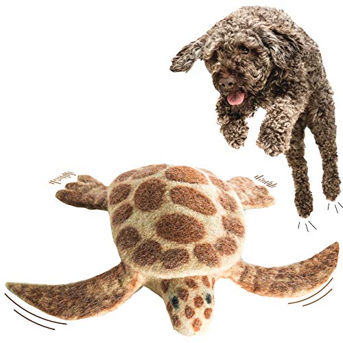 Le Sharma Eco Turtle Handmade 100% Natural Boiled Wool Organic No-Squeak Stuffing-Free Dog Toy Design in USA Large Size 10 inch