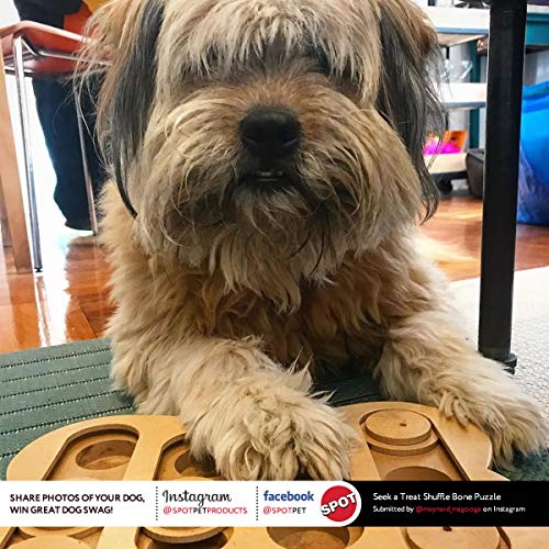 Ethical Products Spot Seek-A-Treat Shuffle Bone – Pet Empire and Supplies