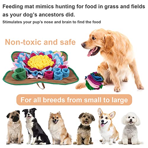 Large Snuffle Mat Canine Enrichment Feeder - Clean Run