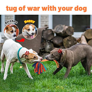 Interactive No Squeaker Tuggable Dog Rope Toy – DogToyStuffz
