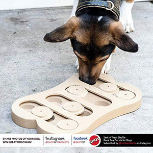 SPOT Interactive Seek-A-Treat Dog Toy Puzzle