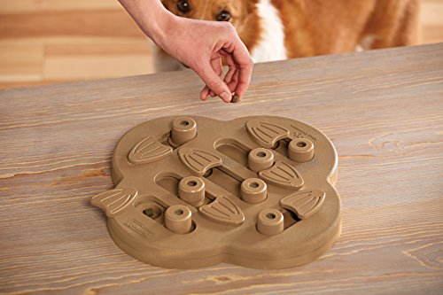 Outward Hound, Nina Ottosson Hide n' Slide Interactive Puzzle Game Toy for Dogs