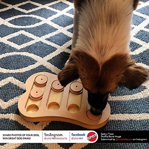 Ethical Products Spot Seek-A-Treat Shuffle Bone – Pet Empire and Supplies