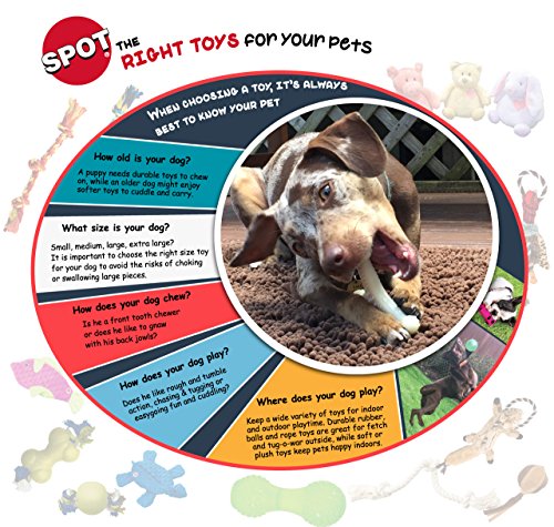Seek-a-Treat Advanced Challenge Shuffle Bone – CANIS CALLIDUS Quality Dog  Supplies from Europe