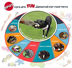 SPOT Interactive Seek-A-Treat Dog Toy Puzzle